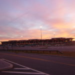 ewr term b